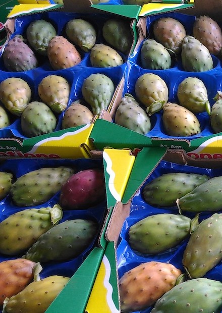 prodotto-ficodindia.sicilia