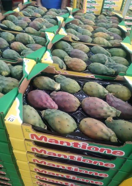 ragioni-per-mangiare-ficodindia