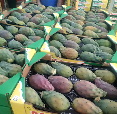 ragioni-per-mangiare